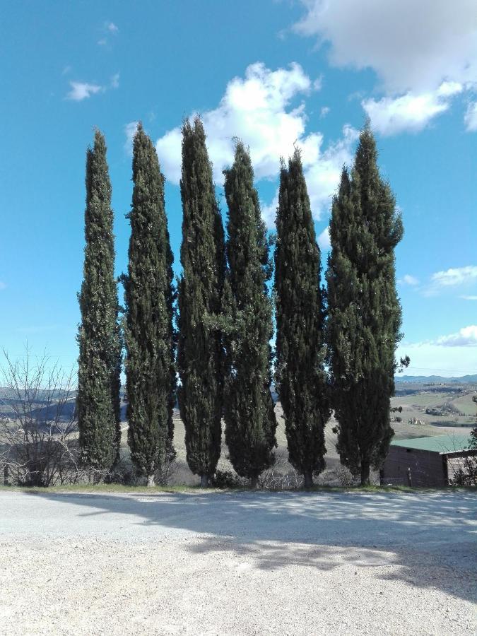 Country House Martina Castelnuovo Berardenga Exterior photo